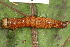  ( - YAWCATCR0258)  @12 [ ] CreativeCommons - Attribution Non-Commercial Share-Alike (2015) C. Redmond Czech Academy of Sciences