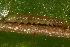  ( - YAWCATCR0096)  @12 [ ] CreativeCommons - Attribution Non-Commercial Share-Alike (2015) C. Redmond Czech Academy of Sciences