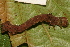  ( - YAWCATCR0284)  @12 [ ] CreativeCommons - Attribution Non-Commercial Share-Alike (2015) C. Redmond Czech Academy of Sciences