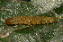  ( - YAWCATCR0532)  @12 [ ] CreativeCommons - Attribution Non-Commercial Share-Alike (2015) C. Redmond Czech Academy of Sciences