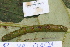  ( - YAWCATCR0518)  @12 [ ] CreativeCommons - Attribution Non-Commercial Share-Alike (2015) C. Redmond Czech Academy of Sciences