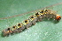  ( - YAWCATCR0915)  @12 [ ] CreativeCommons - Attribution Non-Commercial Share-Alike (2015) C. Redmond Czech Academy of Sciences