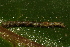 ( - YAWCATCR0707)  @12 [ ] CreativeCommons - Attribution Non-Commercial Share-Alike (2015) C. Redmond Czech Academy of Sciences