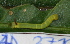  ( - YAWCATCR0006)  @12 [ ] CreativeCommons - Attribution Non-Commercial Share-Alike (2015) C. Redmond Czech Academy of Sciences