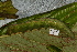 ( - YAWCATCR0009)  @12 [ ] CreativeCommons - Attribution Non-Commercial Share-Alike (2015) C. Redmond Czech Academy of Sciences