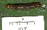  ( - YAWCATCR0655)  @12 [ ] CreativeCommons - Attribution Non-Commercial Share-Alike (2015) C. Redmond Czech Academy of Sciences