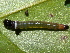  ( - YAWCATCR0372)  @12 [ ] CreativeCommons - Attribution Non-Commercial Share-Alike (2015) C. Redmond Czech Academy of Sciences