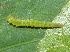  ( - YAWCATCR0431)  @12 [ ] CreativeCommons - Attribution Non-Commercial Share-Alike (2015) C. Redmond Czech Academy of Sciences
