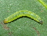  ( - YAWCATCR0201)  @12 [ ] CreativeCommons - Attribution Non-Commercial Share-Alike (2015) C. Redmond Czech Academy of Sciences