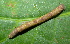  ( - YAWCATCR0599)  @12 [ ] CreativeCommons - Attribution Non-Commercial Share-Alike (2015) C. Redmond Czech Academy of Sciences