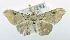  ( - USNM ENT 00711951)  @12 [ ] Unspecified (default): All Rights Reserved  Unspecified Unspecified