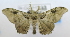  ( - USNM ENT 00711986)  @12 [ ] Unspecified (default): All Rights Reserved  Unspecified Unspecified