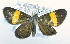  ( - USNM ENT 00723513)  @14 [ ] Unspecified (default): All Rights Reserved  Unspecified Unspecified