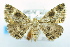  ( - USNM ENT 00723730)  @13 [ ] Unspecified (default): All Rights Reserved  Unspecified Unspecified