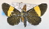  ( - USNM ENT 00723928)  @14 [ ] Unspecified (default): All Rights Reserved  Unspecified Unspecified