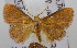  ( - USNM ENT 00726010)  @13 [ ] Unspecified (default): All Rights Reserved  Unspecified Unspecified