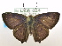  ( - USNM ENT 00726380)  @14 [ ] Unspecified (default): All Rights Reserved  Unspecified Unspecified