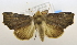  ( - USNM ENT 00726583)  @12 [ ] Unspecified (default): All Rights Reserved  Unspecified Unspecified