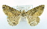  ( - USNM ENT 00726617)  @13 [ ] Unspecified (default): All Rights Reserved  Unspecified Unspecified