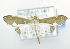  ( - USNM ENT 00726626)  @12 [ ] Unspecified (default): All Rights Reserved  Unspecified Unspecified