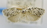  (Isotenes sp. AAP6512 - USNM ENT 00726650)  @13 [ ] Unspecified (default): All Rights Reserved  Unspecified Unspecified