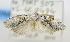  ( - USNM ENT 00726651)  @13 [ ] Unspecified (default): All Rights Reserved  Unspecified Unspecified
