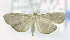  ( - USNM ENT 00736652)  @12 [ ] Unspecified (default): All Rights Reserved  Unspecified Unspecified