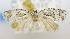  ( - USNM ENT 00726657)  @12 [ ] Unspecified (default): All Rights Reserved  Unspecified Unspecified