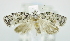  ( - USNM ENT 00726658)  @12 [ ] Unspecified (default): All Rights Reserved  Unspecified Unspecified