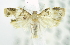  ( - USNM ENT 00726801)  @12 [ ] Unspecified (default): All Rights Reserved  Unspecified Unspecified