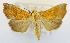  ( - USNM ENT 00736378)  @14 [ ] Unspecified (default): All Rights Reserved  Unspecified Unspecified
