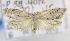  ( - USNM ENT 00736470)  @14 [ ] Unspecified (default): All Rights Reserved  Unspecified Unspecified