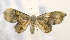  ( - USNM ENT 00736544)  @12 [ ] Unspecified (default): All Rights Reserved  Unspecified Unspecified