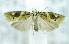  ( - USNM ENT 00736687)  @12 [ ] Unspecified (default): All Rights Reserved  Unspecified Unspecified