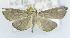  ( - USNM ENT 00736768)  @13 [ ] Unspecified (default): All Rights Reserved  Unspecified Unspecified