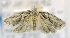  ( - USNM ENT 00736769)  @13 [ ] Unspecified (default): All Rights Reserved  Unspecified Unspecified
