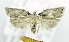  ( - USNM ENT 00736789)  @14 [ ] Unspecified (default): All Rights Reserved  Unspecified Unspecified