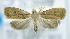  ( - USNM ENT 00736852)  @12 [ ] Unspecified (default): All Rights Reserved  Unspecified Unspecified