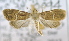  ( - USNM ENT 00736860)  @12 [ ] Unspecified (default): All Rights Reserved  Unspecified Unspecified