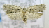  ( - USNM ENT 00736866)  @14 [ ] Unspecified (default): All Rights Reserved  Unspecified Unspecified