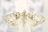  ( - USNM ENT 00736891)  @12 [ ] Unspecified (default): All Rights Reserved  Unspecified Unspecified