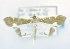  ( - USNM ENT 00737965)  @12 [ ] Unspecified (default): All Rights Reserved  Unspecified Unspecified