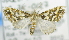  ( - USNM ENT 00738261)  @13 [ ] Unspecified (default): All Rights Reserved  Unspecified Unspecified