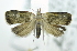  ( - USNM ENT 00739041)  @12 [ ] Unspecified (default): All Rights Reserved  Unspecified Unspecified