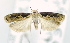  ( - USNM ENT 00739180)  @12 [ ] Unspecified (default): All Rights Reserved  Unspecified Unspecified