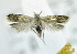  ( - USNM ENT 00739258)  @12 [ ] Unspecified (default): All Rights Reserved  Unspecified Unspecified