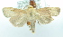  ( - USNM ENT 00739395)  @14 [ ] Unspecified (default): All Rights Reserved  Unspecified Unspecified