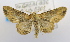  ( - USNM ENT 00739406)  @13 [ ] Unspecified (default): All Rights Reserved  Unspecified Unspecified