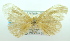  ( - USNM ENT 00739462)  @12 [ ] Unspecified (default): All Rights Reserved  Unspecified Unspecified