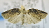  ( - USNM ENT 00739510)  @14 [ ] Unspecified (default): All Rights Reserved  Unspecified Unspecified